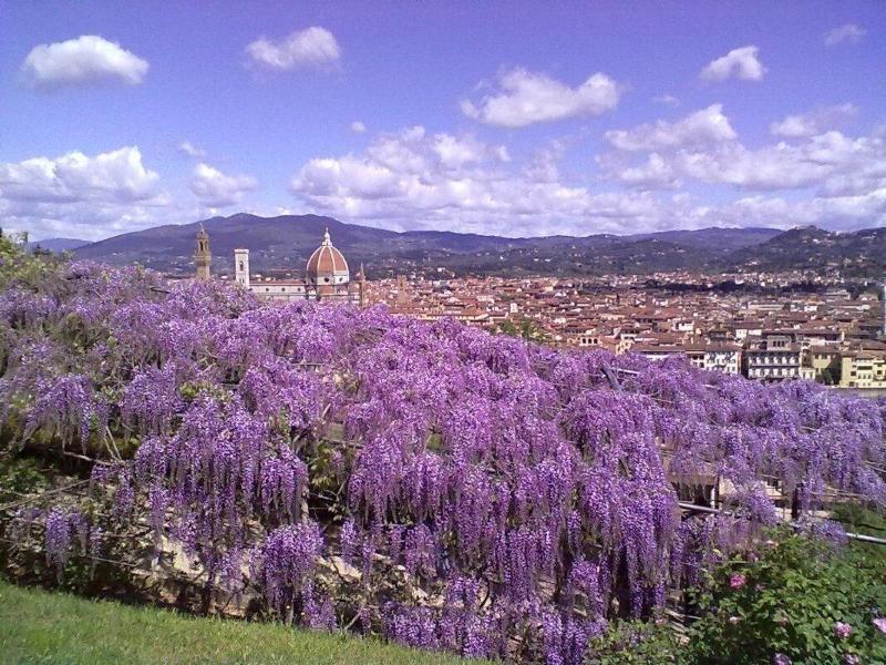 Soggiorno Alessandra Firenze Kültér fotó